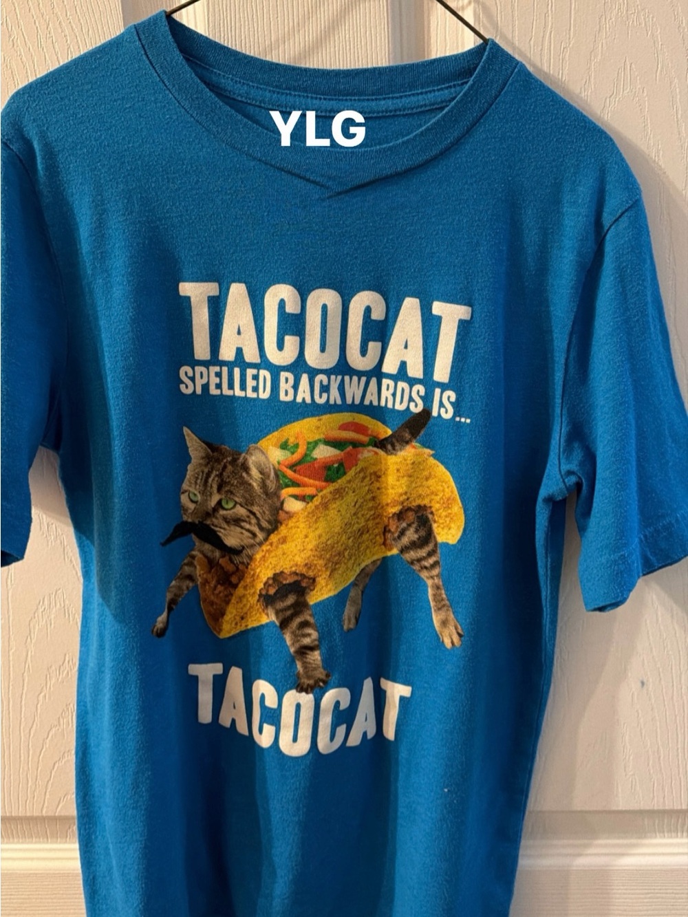 Tacocat Graphic Tee - Blue